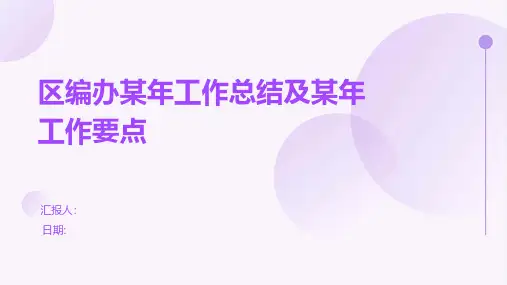 区编办某年工作总结及某年工作要点