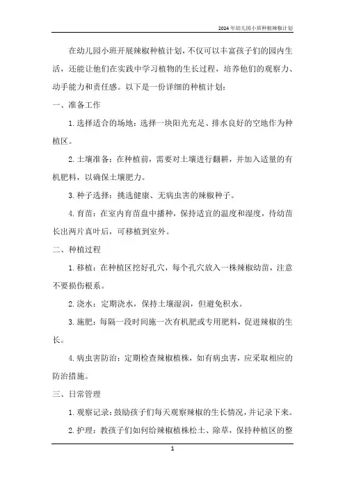 2024年幼儿园小班种植辣椒计划