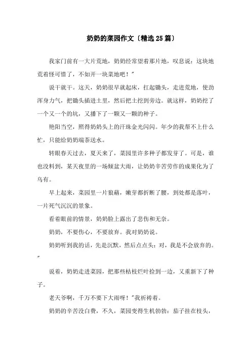 奶奶的菜园作文(精选25篇)精选