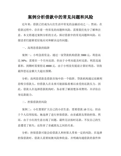 案例分析借款中的常见问题和风险