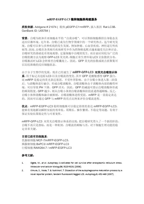 EGFP-mRFP-LC3稳转细胞株构建服务
