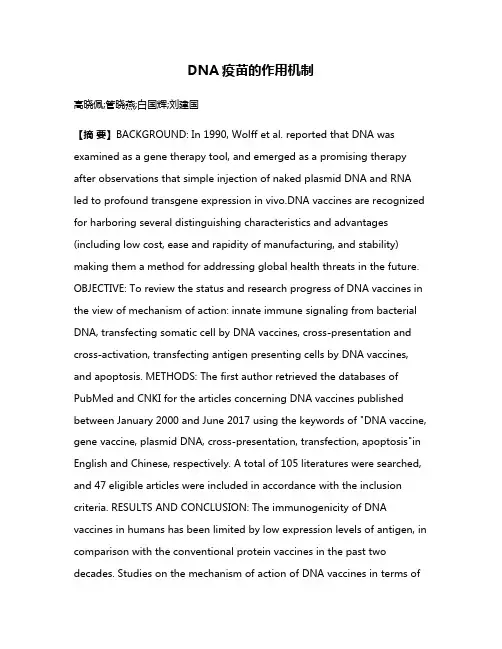 DNA疫苗的作用机制