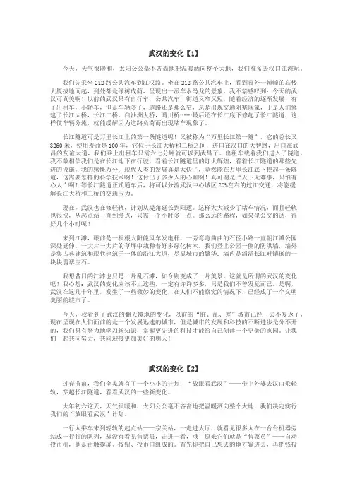 武汉的变化作文
