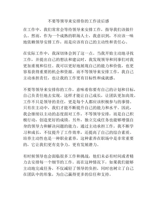 不要等领导来安排你的工作读后感
