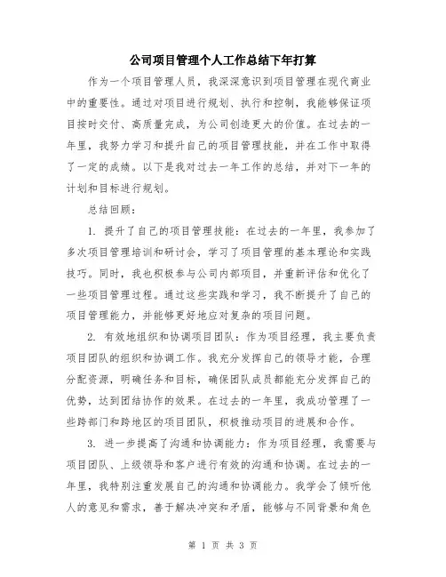 公司项目管理个人工作总结下年打算