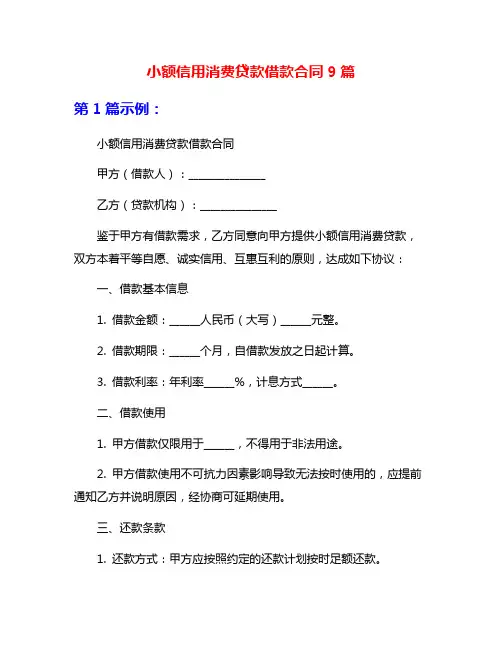 小额信用消费贷款借款合同9篇