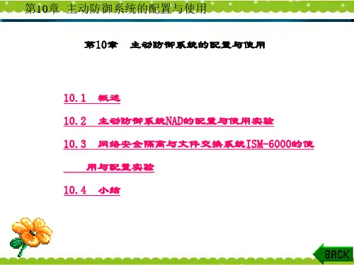 精品课件-信息安全原理与实践-第10章