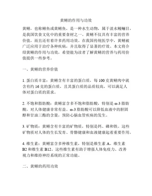 黄鳝的作用与功效
