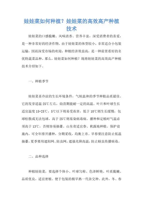 娃娃菜如何种植？娃娃菜的高效高产种植技术