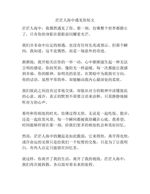 茫茫人海中遇见你短文