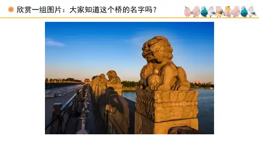 《卢沟谣》名师课件(简谱)