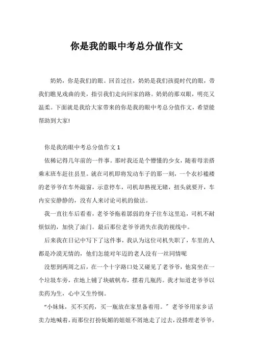 (中考作文)你是我的眼中考满分作文