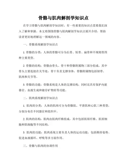骨骼与肌肉解剖学知识点