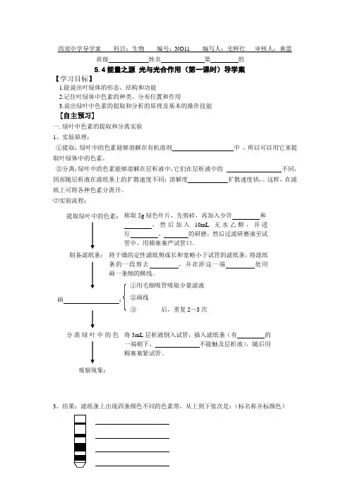 光合作用第一课时导学案