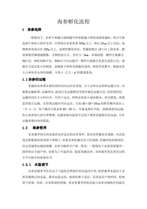 海参育苗