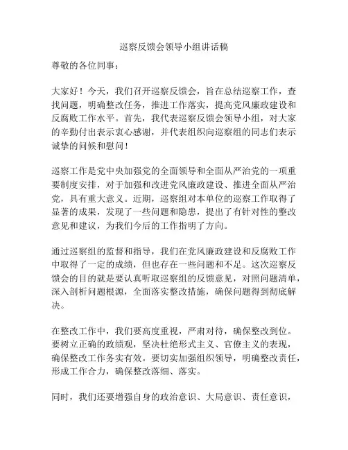 巡察反馈会领导小组讲话稿