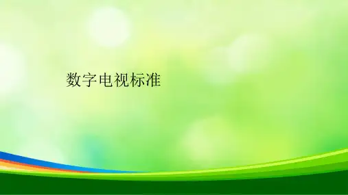 数字电视标准(PPT 69页)