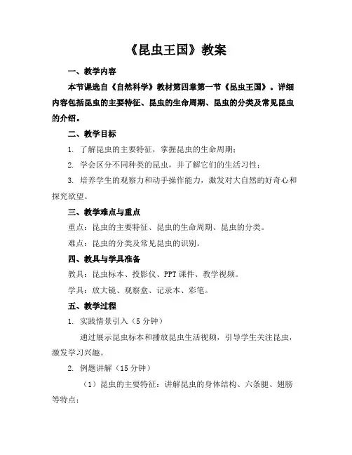 《昆虫王国》教案