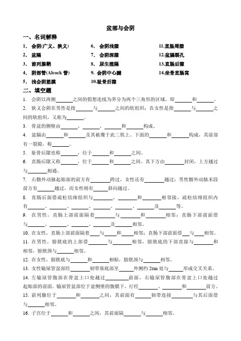 局部解剖学盆部与会阴