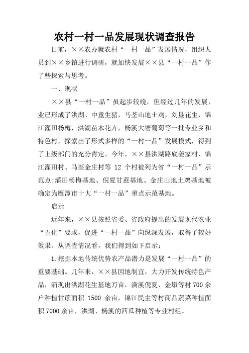 农村一村一品发展现状调查报告