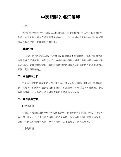 中医肥胖的名词解释