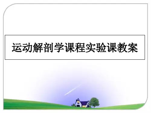 运动解剖学课程实验课教案