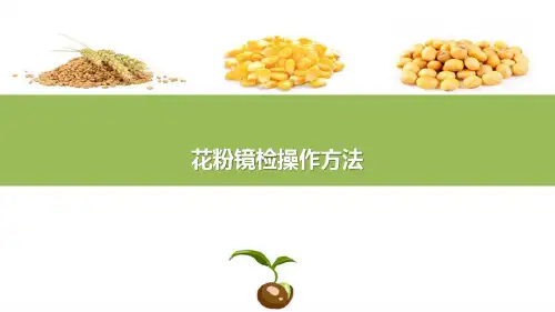 水稻种子生产基本技术—花粉镜检技术