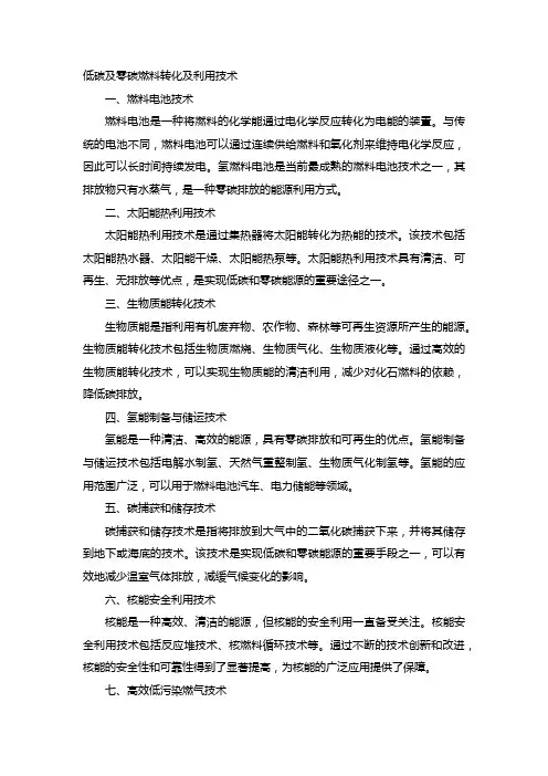 低碳及零碳燃料转化及利用技术