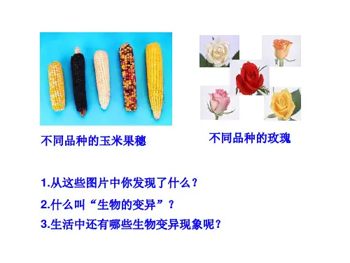 第五节生物的变异