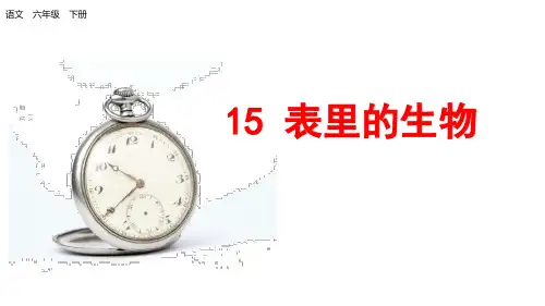 《表里的生物》-六年级下册语文PPT课件