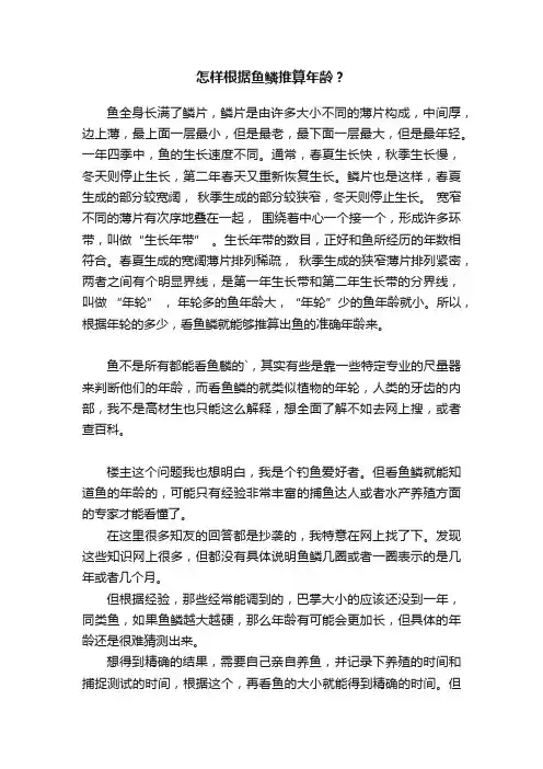 怎样根据鱼鳞推算年龄？