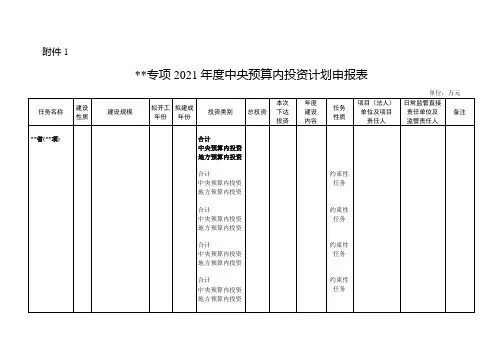专项2021年度中央预算内投资计划申报表【模板】