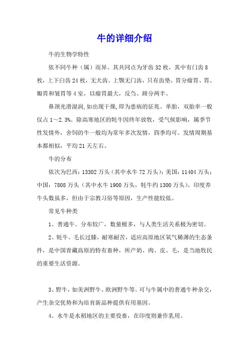 牛的详细介绍