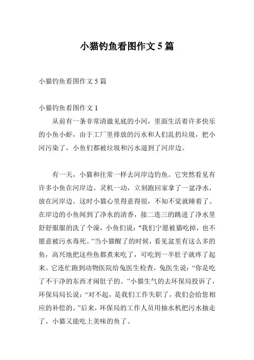 小猫钓鱼看图作文5篇