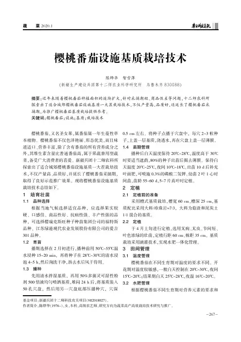樱桃番茄设施基质栽培技术