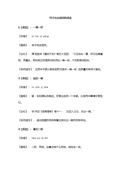 样子完全相同的成语