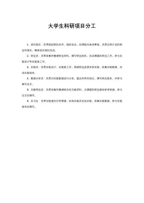 大学生科研项目分工