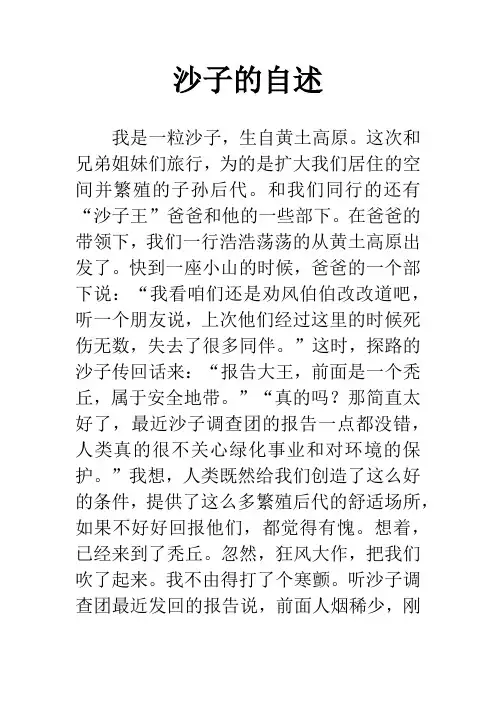 沙子的自述