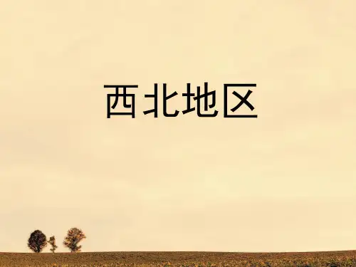 高考一轮复习中国地理西北地区(共36张PPT)