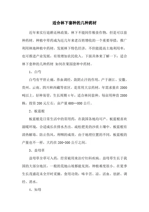适合林下套种的几种药材