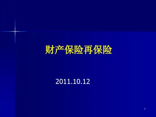04财产保险与再保险.pptx