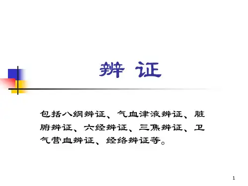 中医基础：辨证及八纲辨证