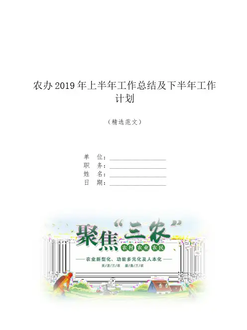 农办2019年上半年工作总结及下半年工作计划【模板】