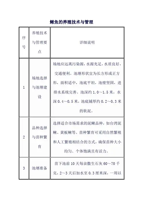 鳅鱼的养殖技术与管理