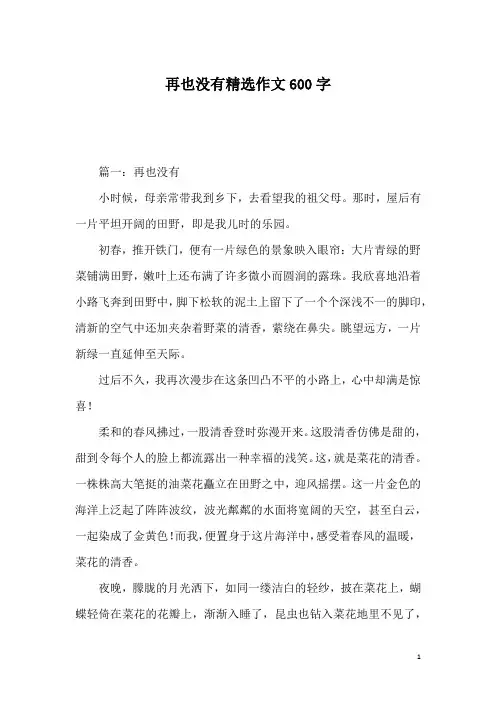 再也没有精选作文600字
