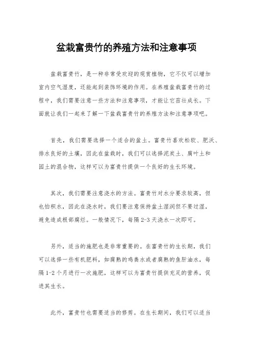 盆栽富贵竹的养殖方法和注意事项