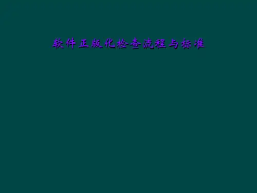 软件正版化检查流程与标准