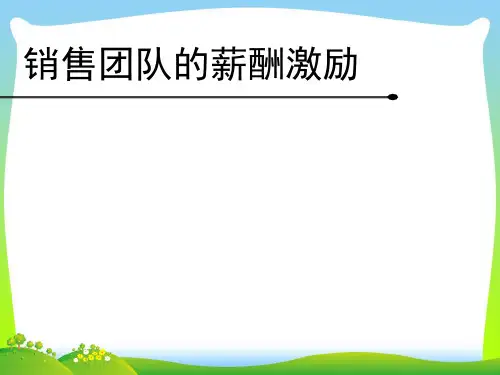 比亚迪汽车-销售团队的薪酬激励(PPT 24页)[2]