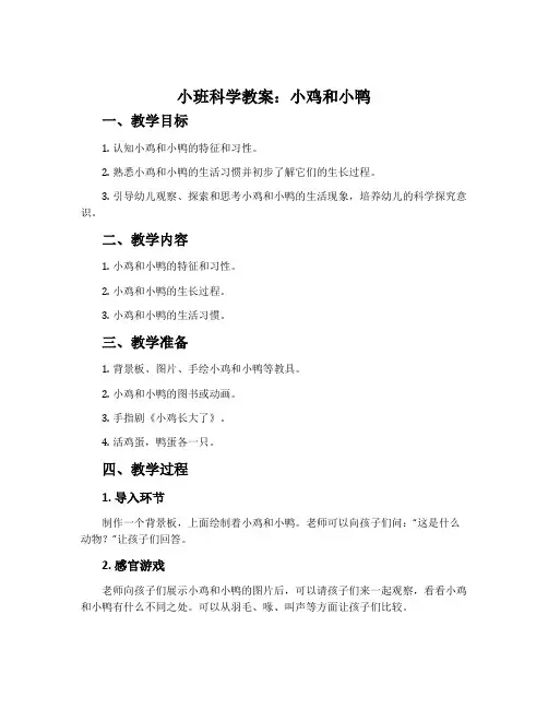 小班科学教案：小鸡和小鸭