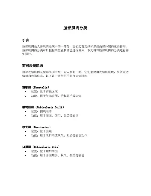 脸部肌肉分类